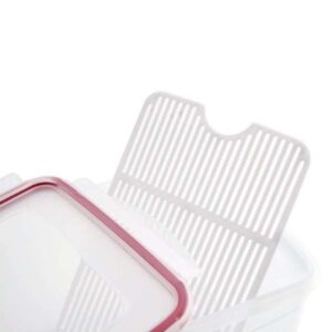 Quid frigobox hermético frutas XL 9 litros